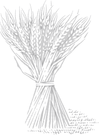 Whisky Cask Broker Image 2